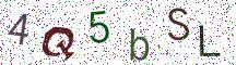 4Q5bSL