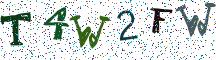 T4W2FW