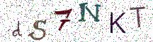 dS7NKT