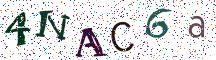 4NAC6a