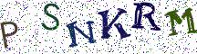 PSNKRM