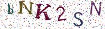 bNK2SN