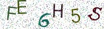 FE6H5S