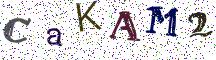 CaKAM2