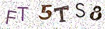 FT5TS8