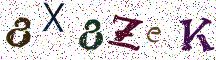8X8ZeK