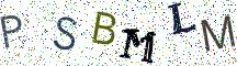 PSBMLM