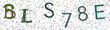 BLS78E