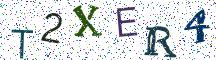 T2XER4