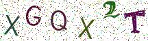 XGQX2T