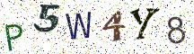 P5W4Y8