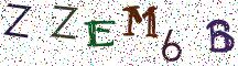 ZZEM6B