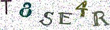 T8SE4R