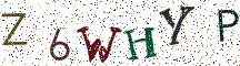 Z6WHYP