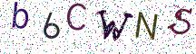 b6CWNS