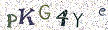 PKG4Ye