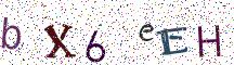 bX6eEH