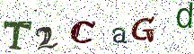 T2CaGd