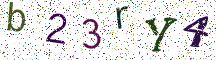 b23rY4