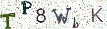 TP8WbK