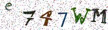 e747WM