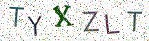 TYXZLT