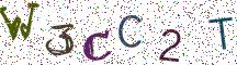 W3CC2T
