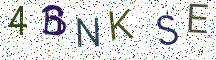 4BNKSE