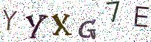 YYXG7E