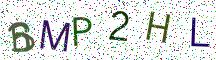 BMP2HL