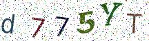 d775YT