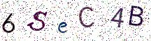 6SeC4B