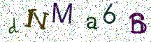 dNMa6B