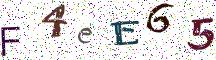 F4eE65