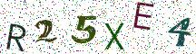 R25XE4