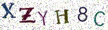 XZYH8C