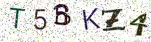 T5BKZ4