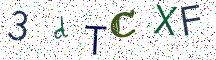 3dTCXF