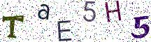 TaE5H5