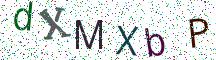 dXMXbP