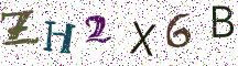 ZH2X6B