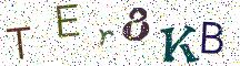 TEr8KB