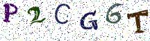 P2CG6T