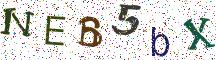 NEB5bX