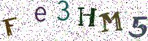 Fe3HM5