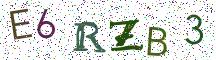 E6RZB3