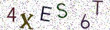 4XES6T