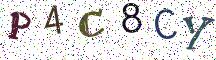 P4C8CY