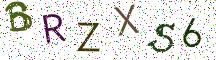 BRZXS6