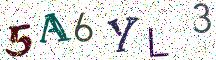 5A6YL3